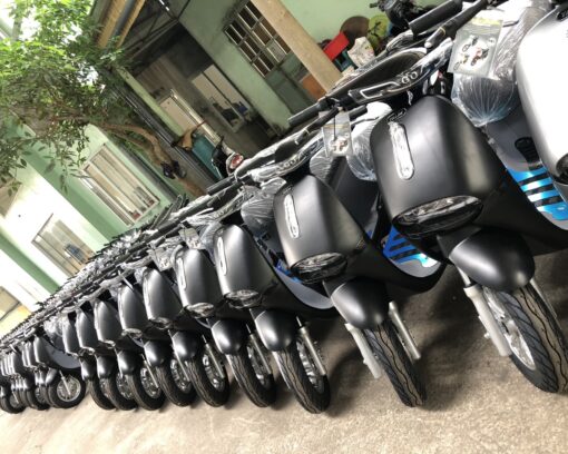 Xe điện GoGo Style